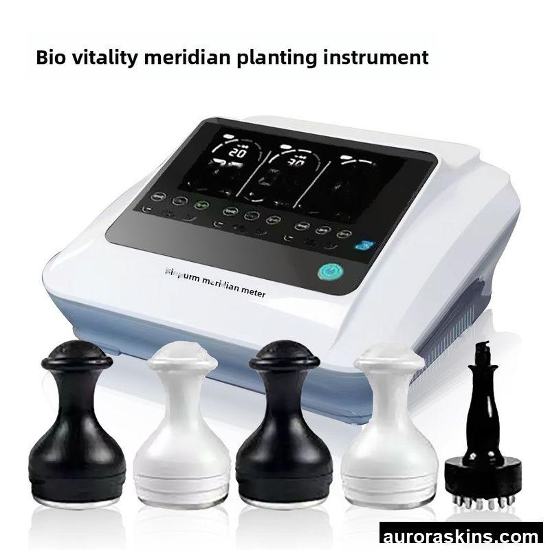 Yuanqi Meridian Instrument's Upgraded Bioelectric Therapy Wellness Device Touch Screen China Changchun Beauty Personal Care
