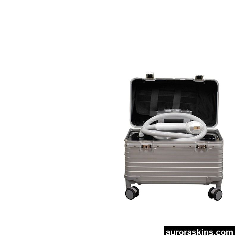 All-in-One 810nm Laser Salon Quality Beauty Instrument 1000W Desktop Multi-Functional Trolley Case ABS Stainless Steel Body Use