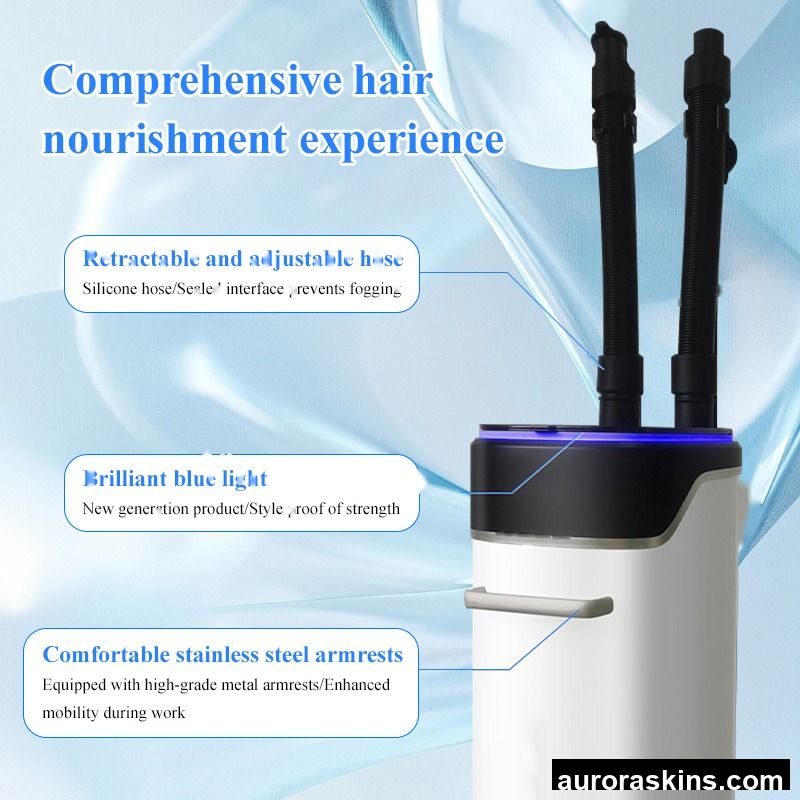 Ion Nano Sprayer Nano Steam Mist Protector Hair Protector Ozone Micro Mist Machine Hair Salon Care Spa Steam Engine.