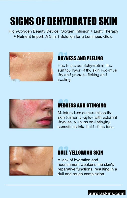 2026 Aurora Skins O2toderm Facial Oxygen Spray Unit-Skin Hydration, Renewal, Deep Purification-Oxygen Therapy Mask Dome Included