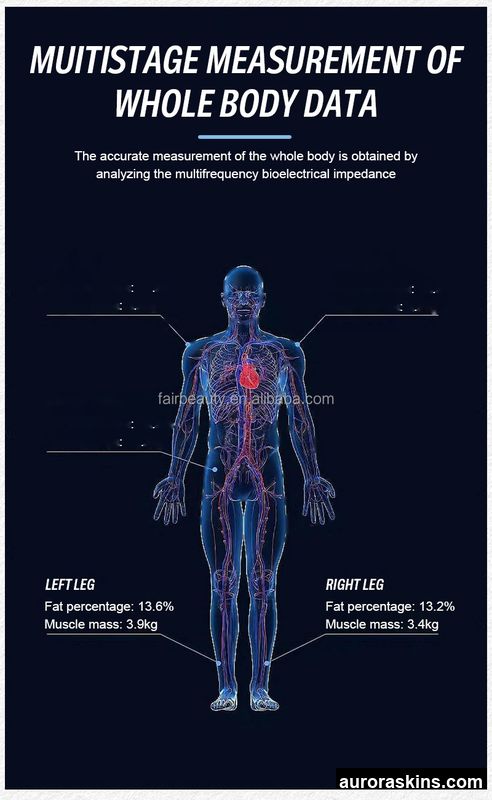 Professional Inbody 970 Body Weight Analyzer Body Health Care 270 Sensor Digital Weighing and Fitness Evaluation System