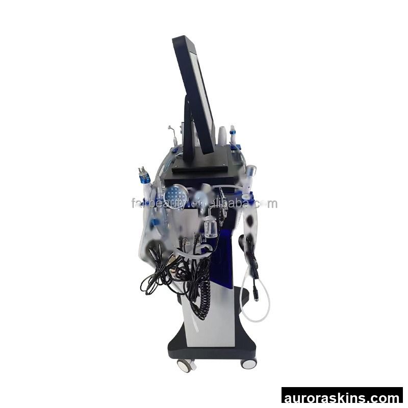 2025 Factory Price 14 in 1 Hydro Oxygen Face Cleaning Skin Care Equipment Skin Care Beauty Machine Skin Rejuvenation Beauty Spa