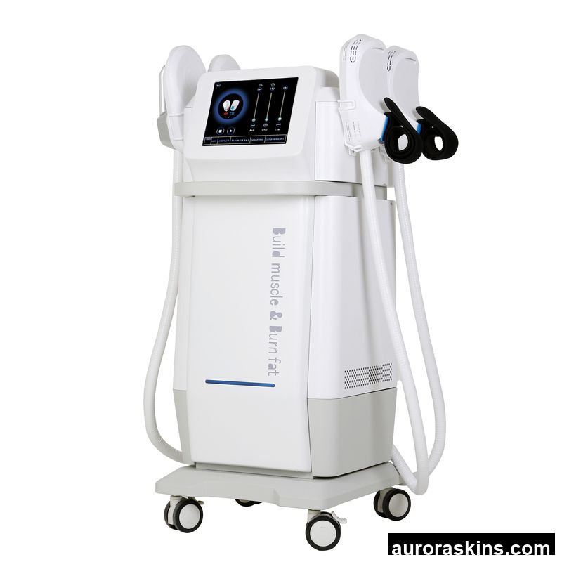 Standing Muscle Building 2 Handles+2 Curved Arm Handles Fat Reduction Body Sculpting Magnetic Muscle Stimulator