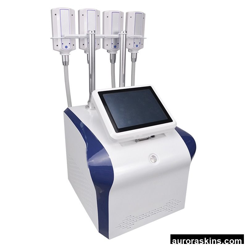 Whole Body Fat Reduction Body Shaping Lymphatic Drainage BIO Microcurrent+Cryo+Rediofrequency Fat Freezing Machine