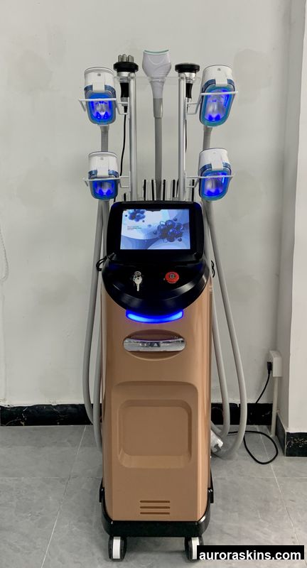 Multifunctional 360 Cryotherapy Slimming Fat Machine Coolsculption Equipment Body Shaping Machine Weight Lose Two Cryo Handles