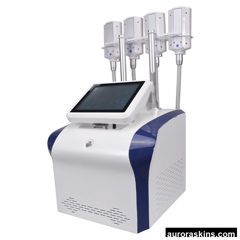 Whole Body Fat Reduction Body Shaping Lymphatic Drainage BIO Microcurrent+Cryo+Rediofrequency Fat Freezing Machine