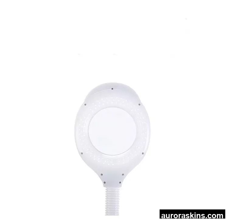 2022 High Quality Portable ABS+Stainless Steel LED Cosmetic Magnifying Lamp with 1 Year Warranty for Home Use