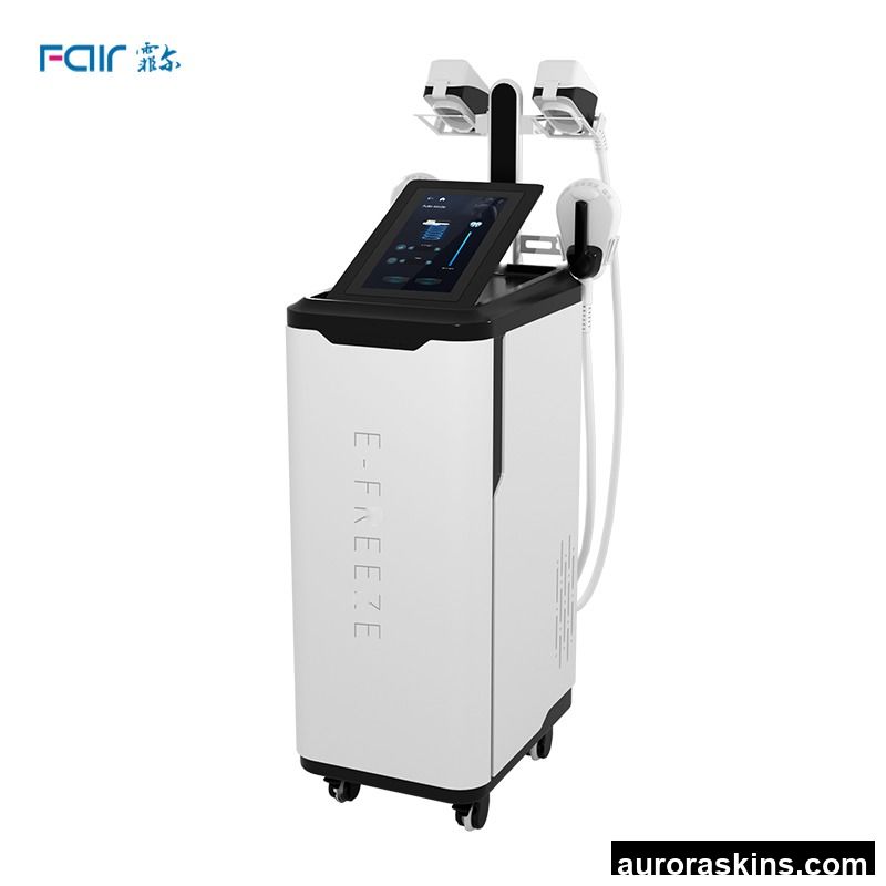 Professional Magnetic Muscle Stimulator Fat Freezing Machine Body Shaping Cellulite Removal Beauty Machine