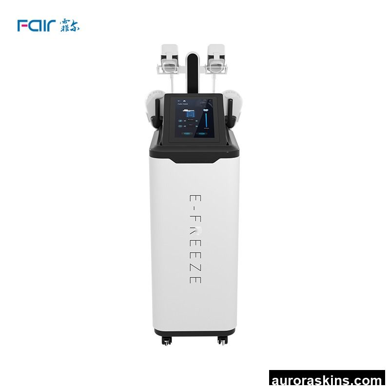 Professional Magnetic Muscle Stimulator Fat Freezing Machine Body Shaping Cellulite Removal Beauty Machine