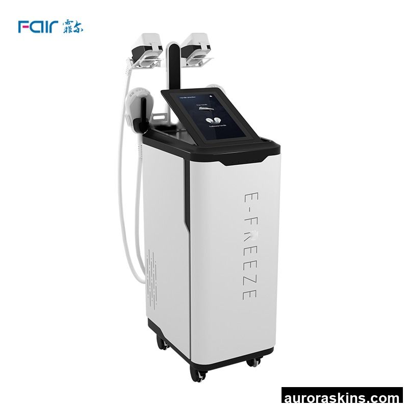 Professional Magnetic Muscle Stimulator Fat Freezing Machine Body Shaping Cellulite Removal Beauty Machine